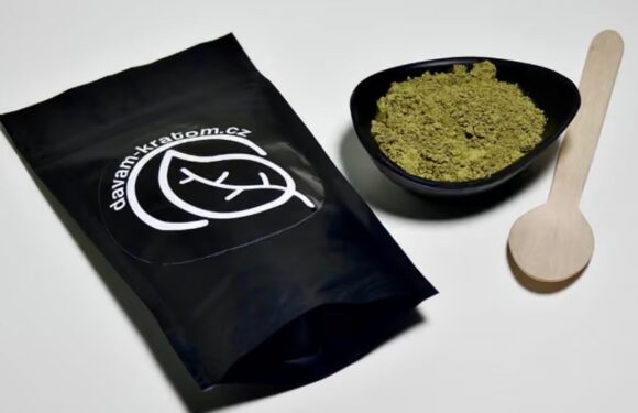 Znáte všechny účinné látky v kratomu?