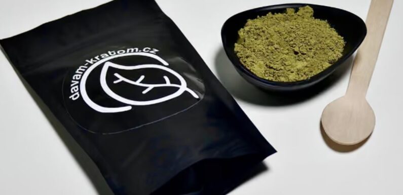 Znáte všechny účinné látky v kratomu?